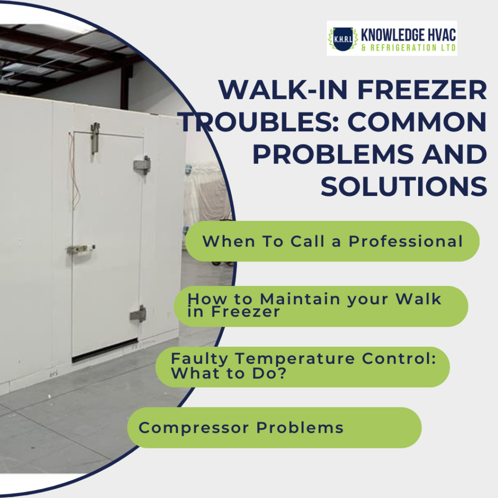 Walk-In Freezer Troubles Common Problems and Solutions